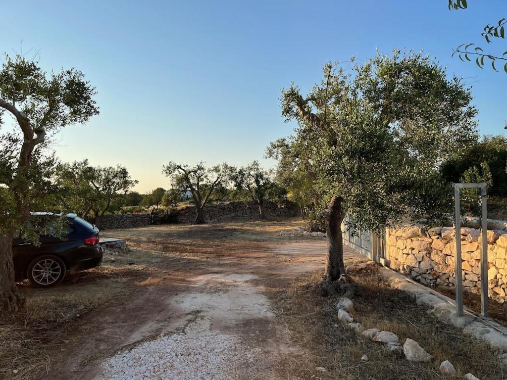 Holiday home Casa Giuliveto - Charmantes Mit Privatpool In Olivenhain