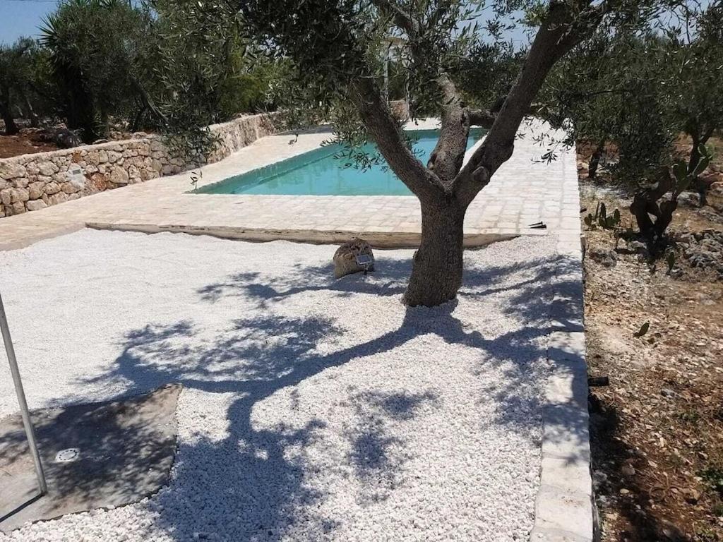 Casa Giuliveto - Charmantes Mit Privatpool In Olivenhain Holiday home *