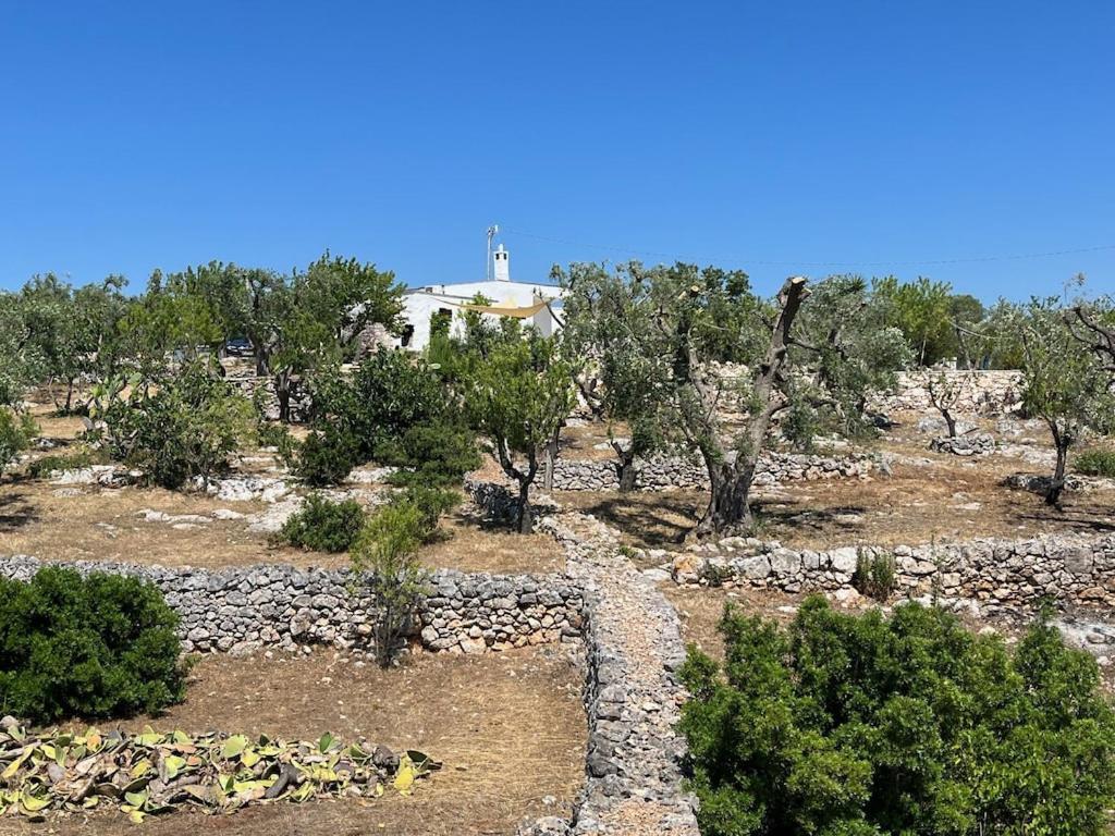 Casa Giuliveto - Charmantes Mit Privatpool In Olivenhain Holiday home *