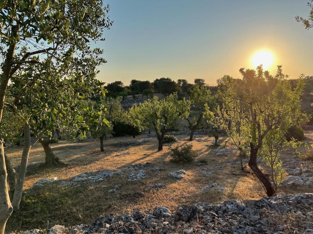 Holiday home Casa Giuliveto - Charmantes Mit Privatpool In Olivenhain Ostuni