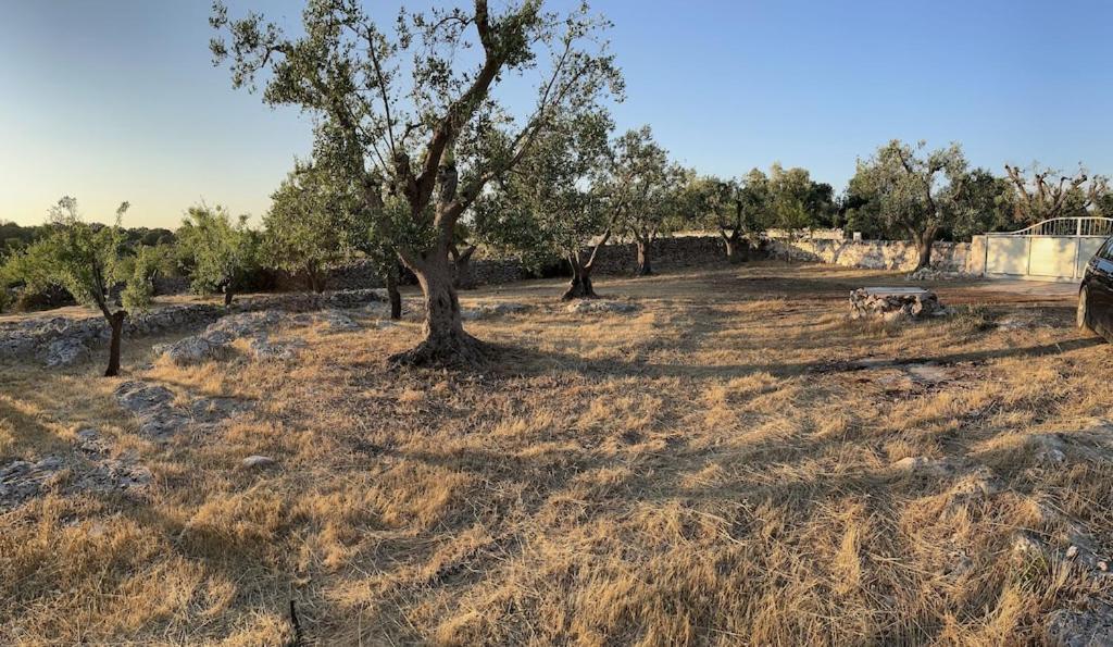 Holiday home Casa Giuliveto - Charmantes Mit Privatpool In Olivenhain