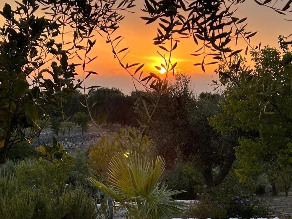 Casa Giuliveto - Charmantes Mit Privatpool In Olivenhain Holiday home Ostuni