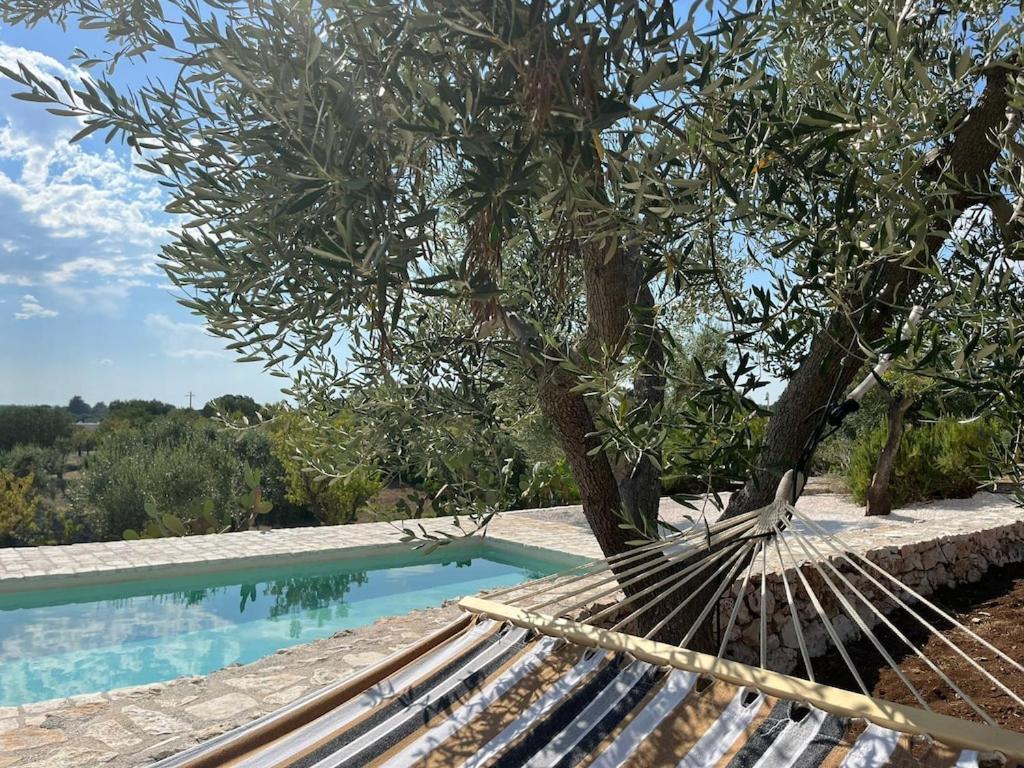 Casa Giuliveto - Charmantes Mit Privatpool In Olivenhain Holiday home *
