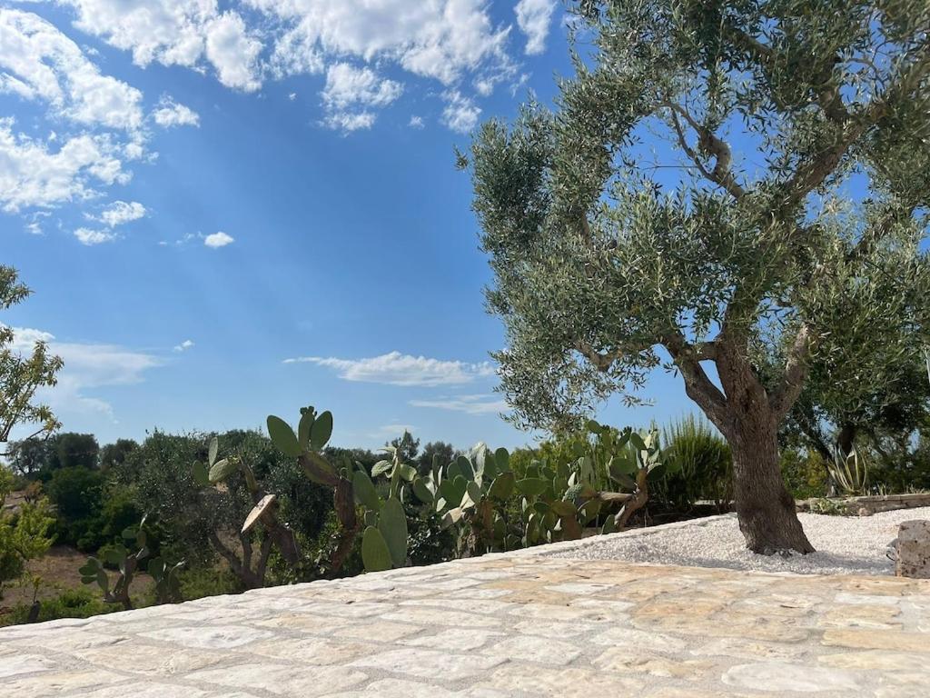 Holiday home Casa Giuliveto - Charmantes Mit Privatpool In Olivenhain *