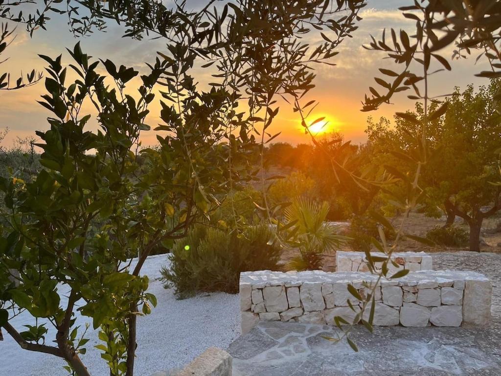 Casa Giuliveto - Charmantes Mit Privatpool In Olivenhain *