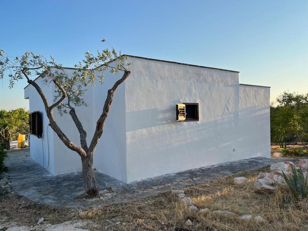 Casa Giuliveto - Charmantes Mit Privatpool In Olivenhain